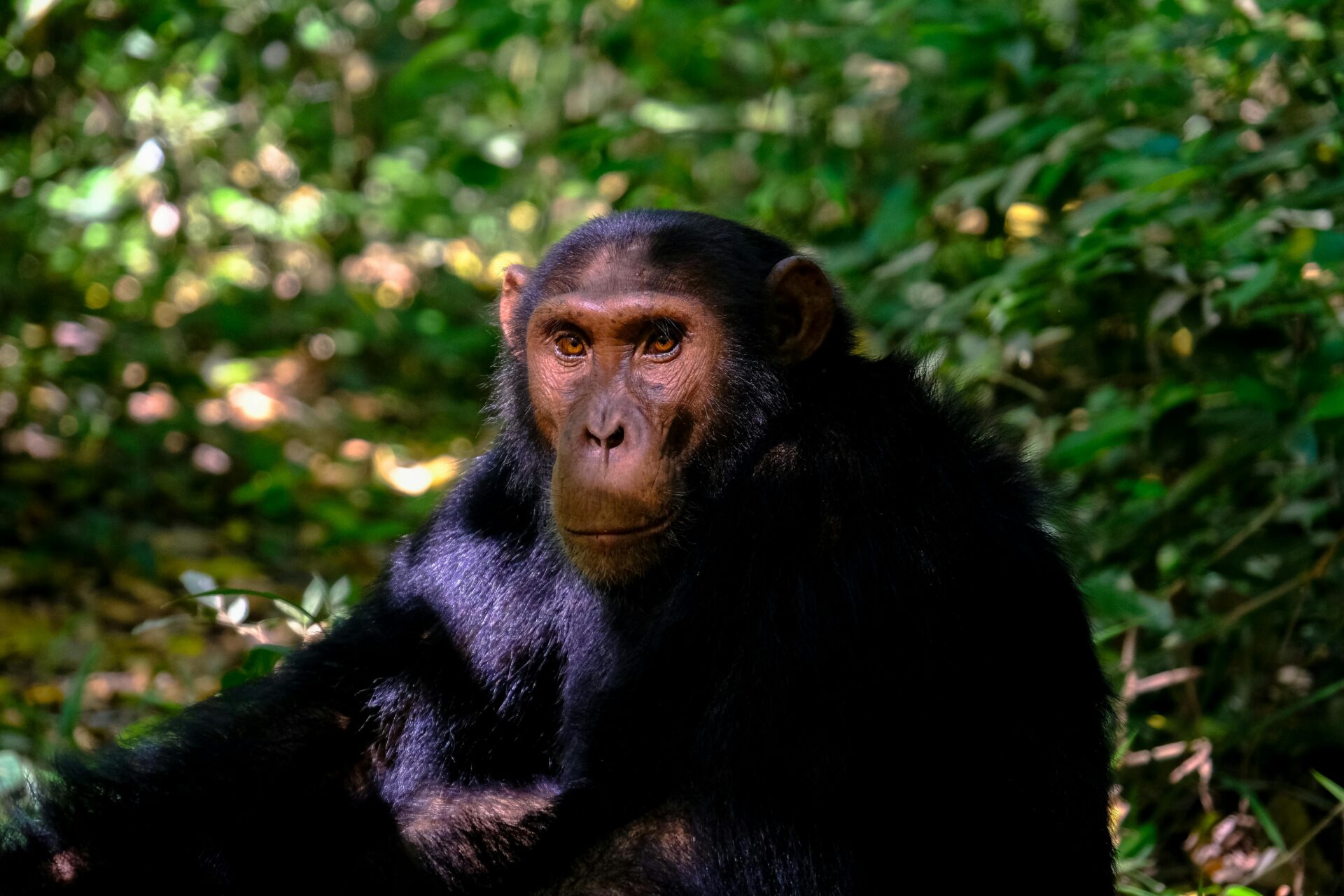 Andrea Vella, Andrea Vella wildlife, Andrea Vella conservation, Andrea Vella wife